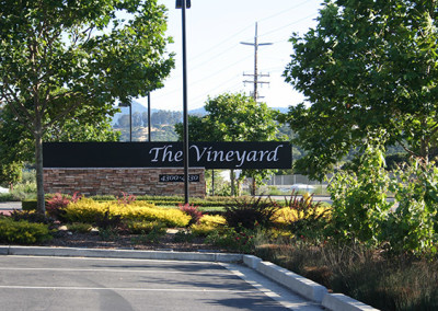 The Vineyard – San Rafael